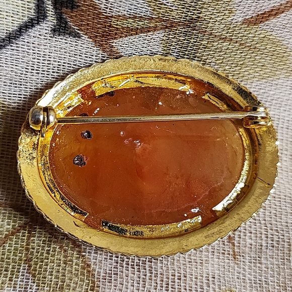 Carnelian Agate Unsigned Oval Stone Brooch Pin Prong Set Gold Tone Rope Setting - Picture 4 of 11